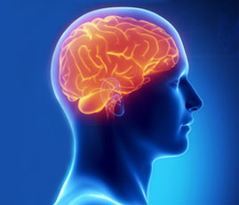 Neurology hospital in burdwan