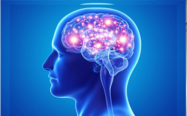 Neuro Surgery Brains & Nerves in Burdwan Kolkata India