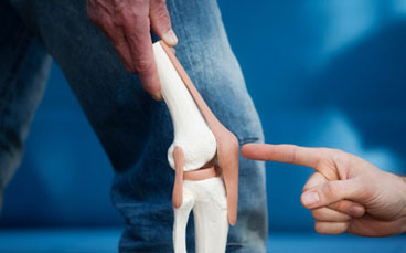 Bone & Joints