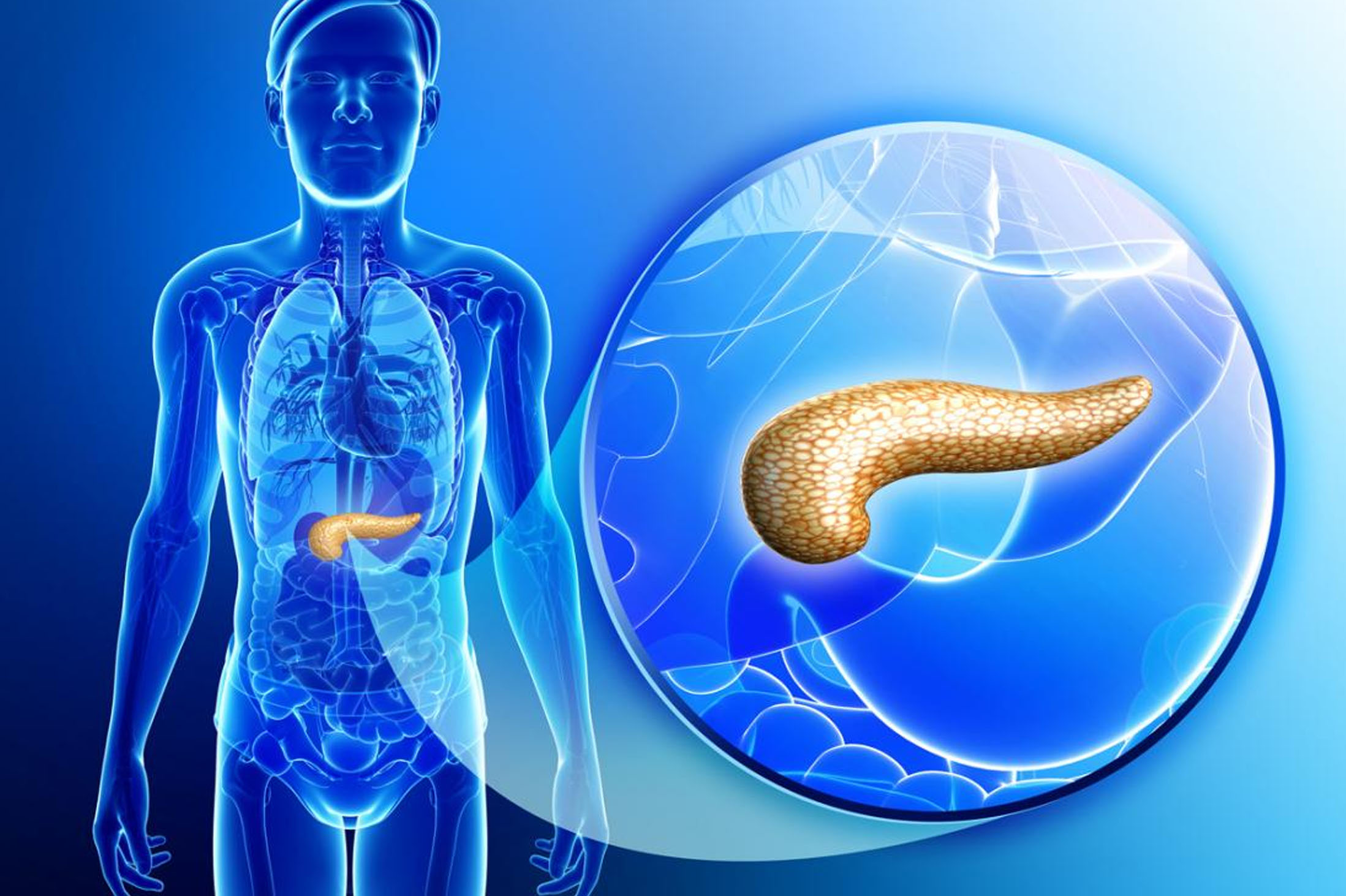  best Endocrinology hospital in Burdwan