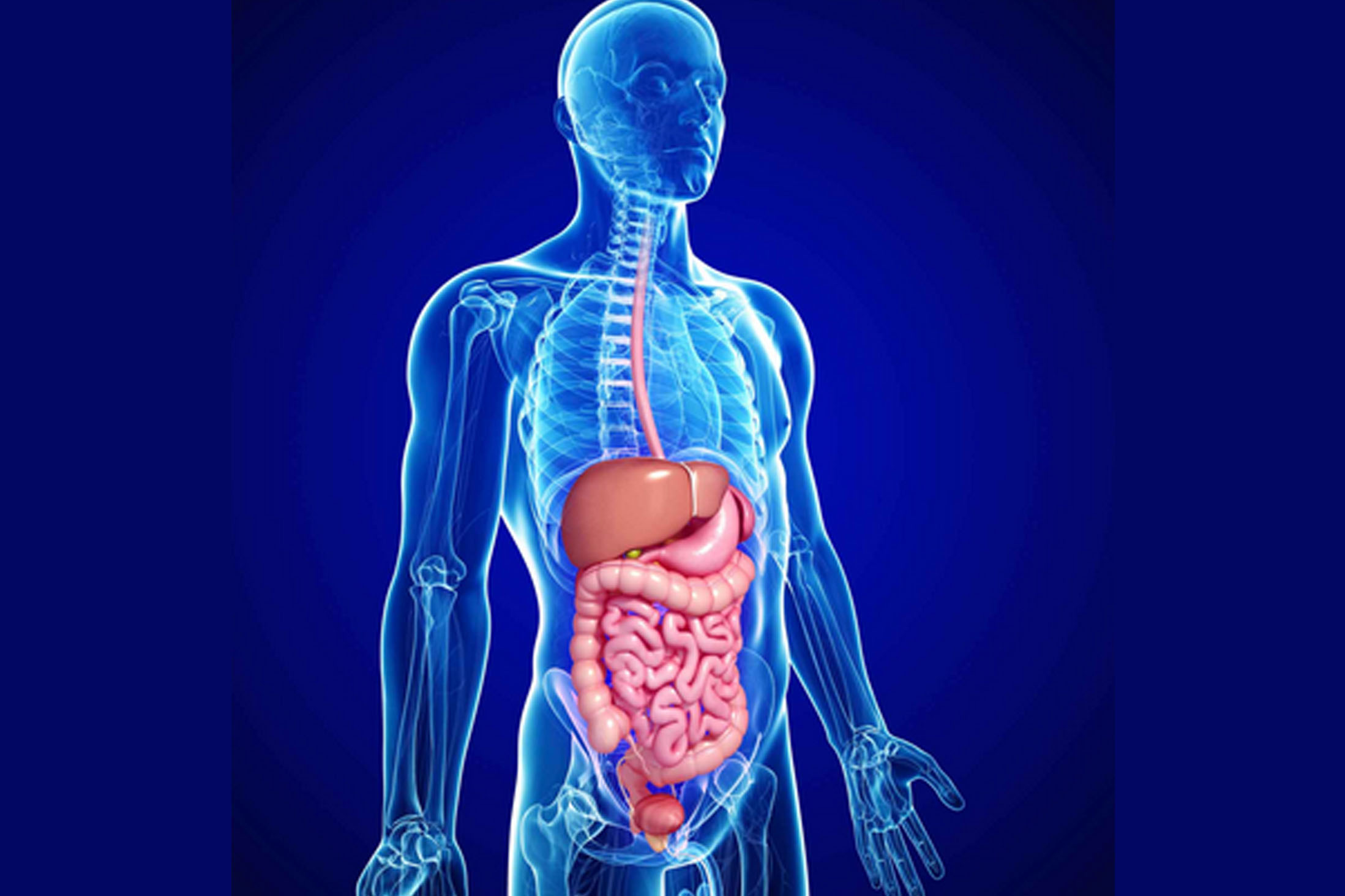 Gastroenterology hospital in Burdwan
